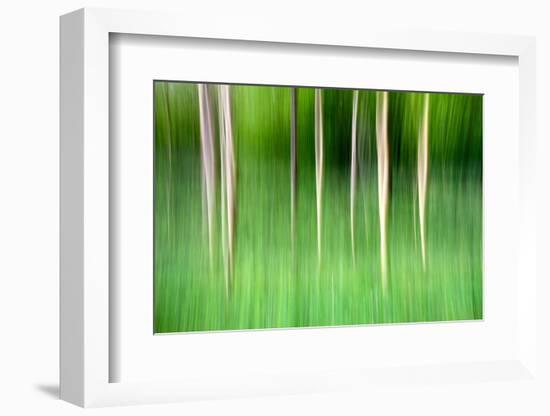 Abstract Trees-Mark Sunderland-Framed Photographic Print