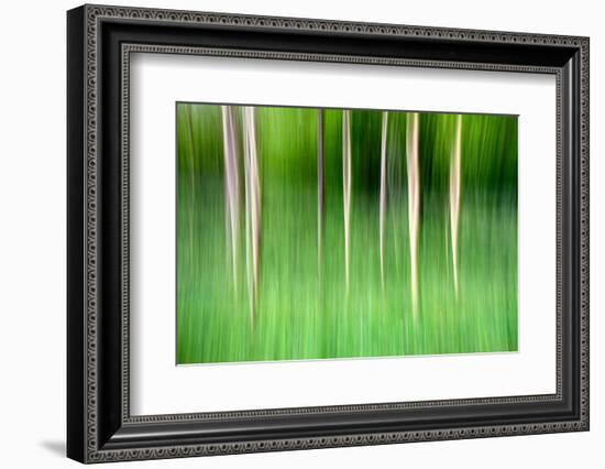 Abstract Trees-Mark Sunderland-Framed Photographic Print