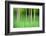 Abstract Trees-Mark Sunderland-Framed Photographic Print