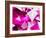 Abstract Triangular Background-VolsKinvols-Framed Art Print