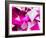 Abstract Triangular Background-VolsKinvols-Framed Art Print