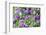 Abstract tulips, Giverny, France-Russ Bishop-Framed Photographic Print