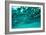 Abstract Underwater Background with Bokeh-shevtsovy-Framed Photographic Print