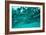 Abstract Underwater Background with Bokeh-shevtsovy-Framed Photographic Print