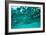 Abstract Underwater Background with Bokeh-shevtsovy-Framed Photographic Print