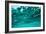 Abstract Underwater Background with Bokeh-shevtsovy-Framed Photographic Print