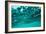 Abstract Underwater Background with Bokeh-shevtsovy-Framed Photographic Print