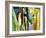 Abstract Variation-Hyunah Kim-Framed Art Print