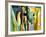 Abstract Variation-Hyunah Kim-Framed Art Print