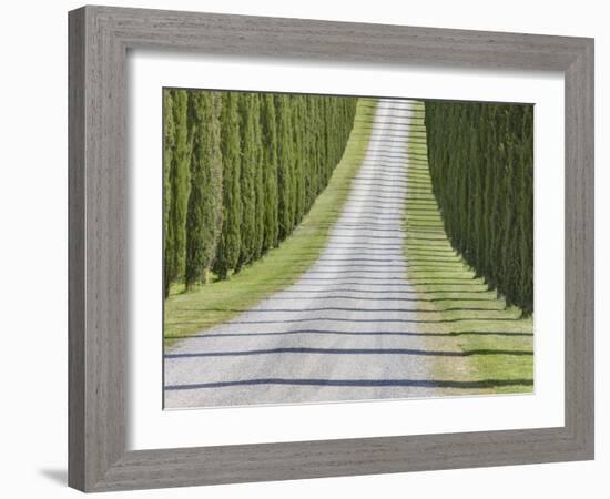 Abstract View of Cypress Trees and their Shadows across Gravel Road, Near Pienza, Tuscany-Lee Frost-Framed Photographic Print