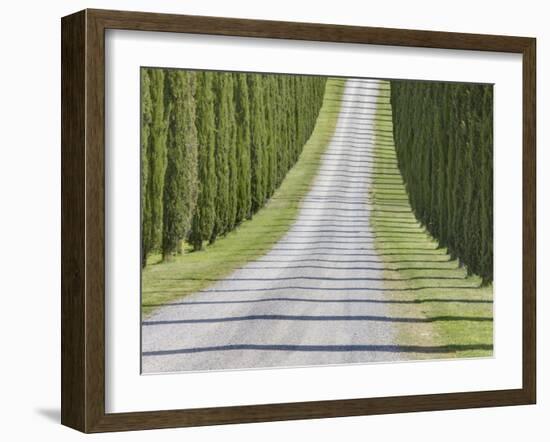 Abstract View of Cypress Trees and their Shadows across Gravel Road, Near Pienza, Tuscany-Lee Frost-Framed Photographic Print