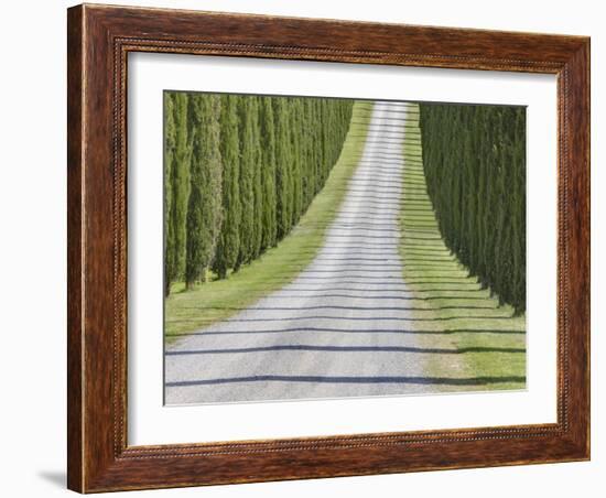 Abstract View of Cypress Trees and their Shadows across Gravel Road, Near Pienza, Tuscany-Lee Frost-Framed Photographic Print