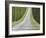 Abstract View of Cypress Trees and their Shadows across Gravel Road, Near Pienza, Tuscany-Lee Frost-Framed Photographic Print