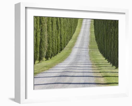 Abstract View of Cypress Trees and their Shadows across Gravel Road, Near Pienza, Tuscany-Lee Frost-Framed Photographic Print