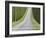 Abstract View of Cypress Trees and their Shadows across Gravel Road, Near Pienza, Tuscany-Lee Frost-Framed Photographic Print