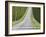 Abstract View of Cypress Trees and their Shadows across Gravel Road, Near Pienza, Tuscany-Lee Frost-Framed Photographic Print