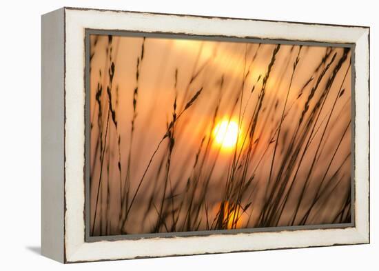 Abstract Visions-Adrian Campfield-Framed Premier Image Canvas