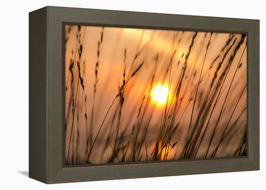 Abstract Visions-Adrian Campfield-Framed Premier Image Canvas