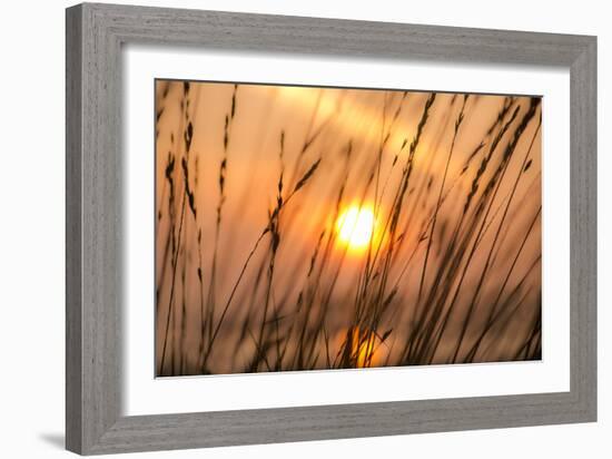 Abstract Visions-Adrian Campfield-Framed Photographic Print