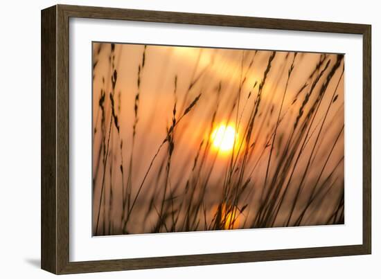 Abstract Visions-Adrian Campfield-Framed Photographic Print