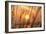 Abstract Visions-Adrian Campfield-Framed Photographic Print