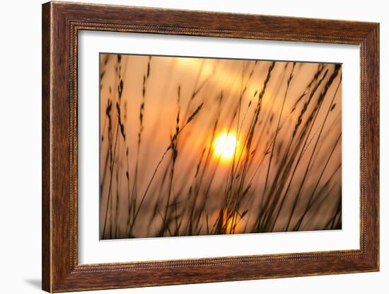 Abstract Visions-Adrian Campfield-Framed Photographic Print