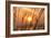 Abstract Visions-Adrian Campfield-Framed Photographic Print