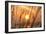 Abstract Visions-Adrian Campfield-Framed Photographic Print