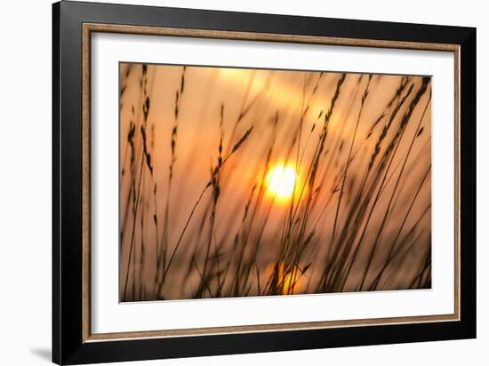 Abstract Visions-Adrian Campfield-Framed Photographic Print