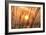 Abstract Visions-Adrian Campfield-Framed Photographic Print