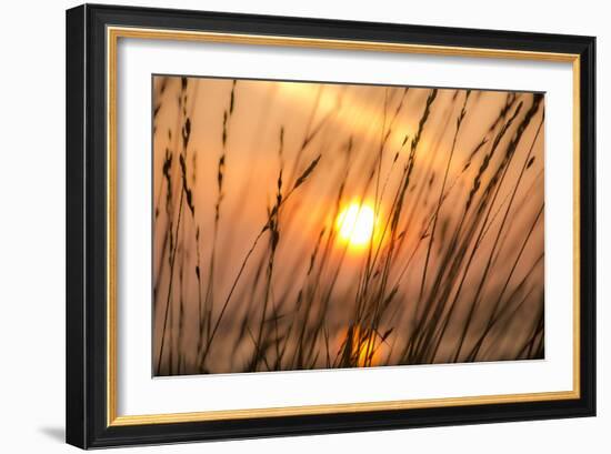 Abstract Visions-Adrian Campfield-Framed Photographic Print