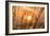 Abstract Visions-Adrian Campfield-Framed Photographic Print