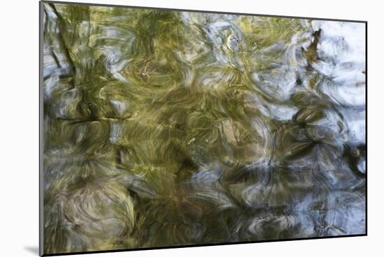 Abstract Water 100178-Rica Belna-Mounted Giclee Print