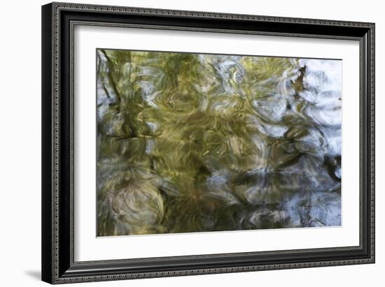 Abstract Water 100178-Rica Belna-Framed Giclee Print