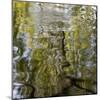 Abstract Water 100231-Rica Belna-Mounted Giclee Print