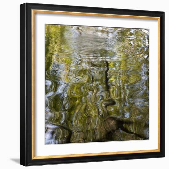 Abstract Water 100231-Rica Belna-Framed Giclee Print