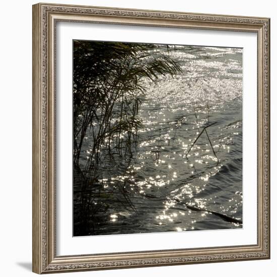 Abstract Water-Rica Belna-Framed Giclee Print