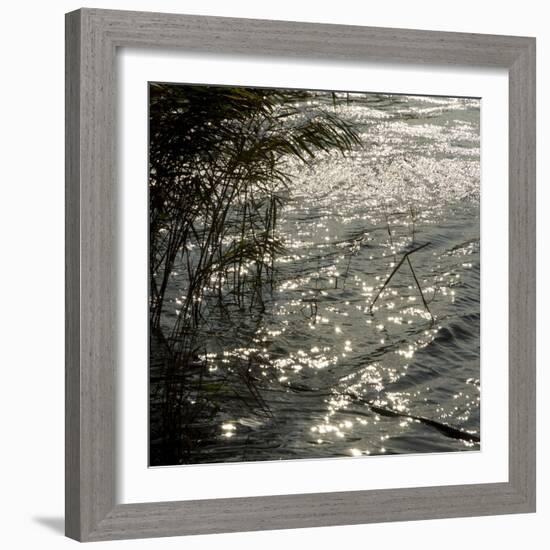 Abstract Water-Rica Belna-Framed Giclee Print