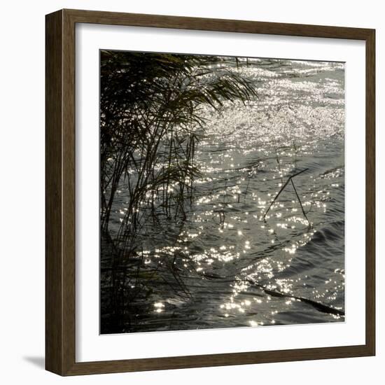 Abstract Water-Rica Belna-Framed Giclee Print