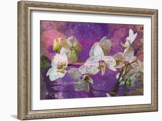 Abstract Watercolor and Ink Painting with Orchid Flower on Paper Texture- Mixed Technique-run4it-Framed Art Print