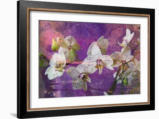 Abstract Watercolor and Ink Painting with Orchid Flower on Paper Texture- Mixed Technique-run4it-Framed Art Print