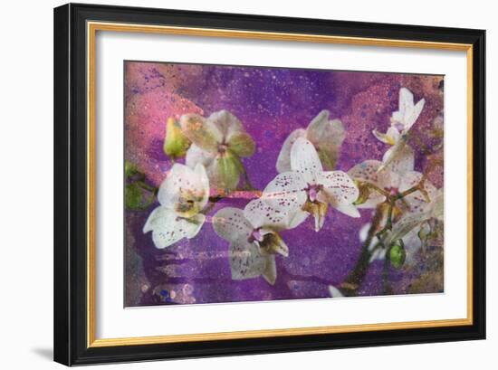 Abstract Watercolor and Ink Painting with Orchid Flower on Paper Texture- Mixed Technique-run4it-Framed Art Print