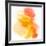 Abstract Watercolor Hand Painted Background-katritch-Framed Giclee Print