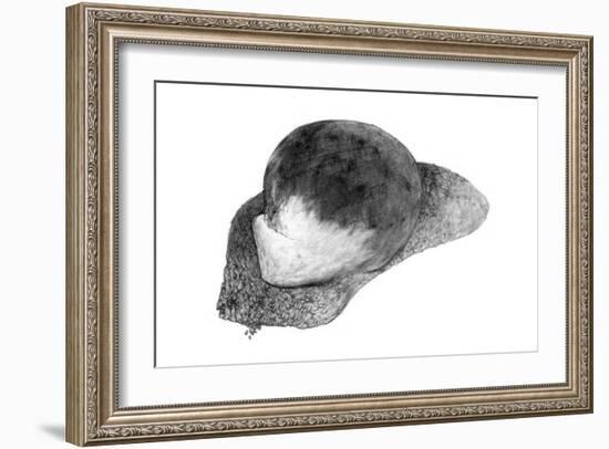 Abstract White Creature on a Rock-Ryuichirou Motomura-Framed Art Print