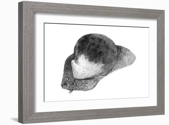 Abstract White Creature on a Rock-Ryuichirou Motomura-Framed Art Print