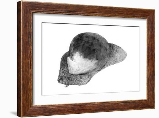 Abstract White Creature on a Rock-Ryuichirou Motomura-Framed Art Print