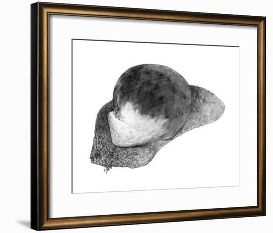 Abstract White Creature on a Rock-Ryuichirou Motomura-Framed Art Print