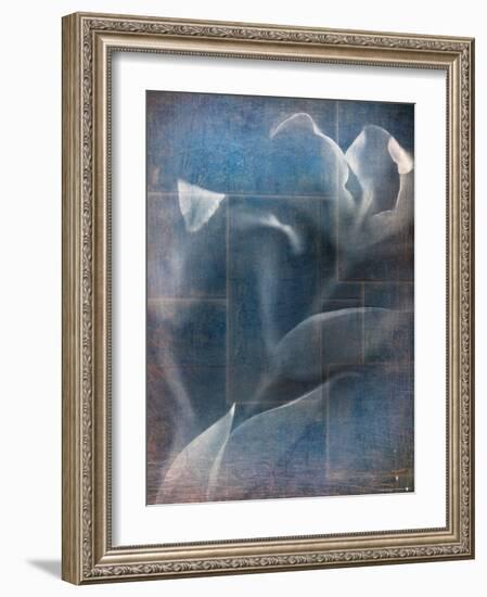 Abstract White Flower on Blue Background-Robert Cattan-Framed Photographic Print