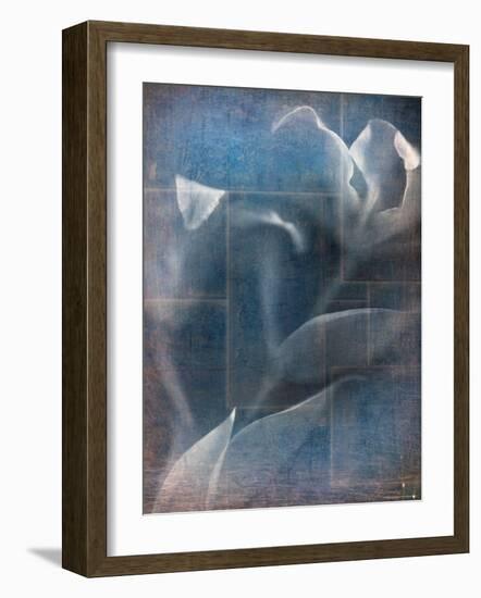 Abstract White Flower on Blue Background-Robert Cattan-Framed Photographic Print