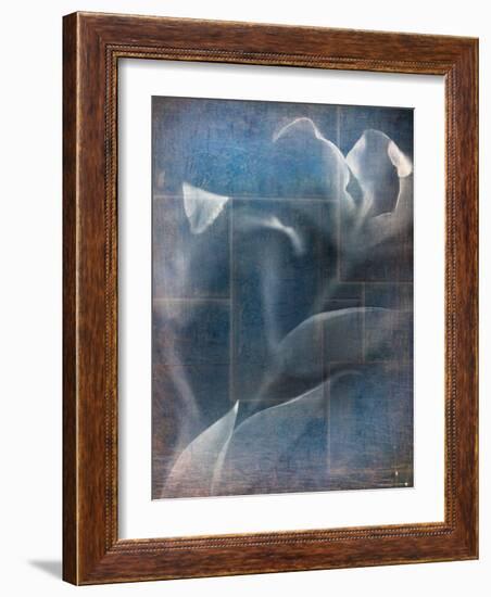 Abstract White Flower on Blue Background-Robert Cattan-Framed Photographic Print